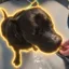 Biggie Smalls icon