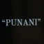 Punani Coin icon