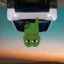 UpSide Down Pepe icon