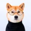 iNU icon