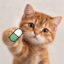 HODLcat icon