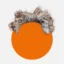 Haircoin icon