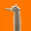 Leverage Cat icon