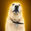 Rufus icon