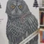 The Superintelligence Owl icon