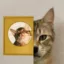 catdog icon