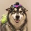 Artificial Inu icon