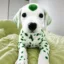 comfy in spot icon