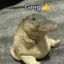 greg icon