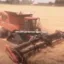 You lowkey just got farmed icon