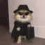 SPYDOG icon