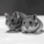 Boris and Natasha icon