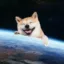 Flying Super Inu Data Center icon