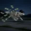 Send Inu icon