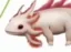 The Axolotl icon
