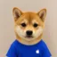iNu icon