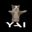 YAI icon