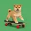 runner on board icon