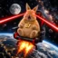 67 Rabbit icon