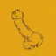 Private Coin icon