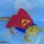 Super Iguana icon