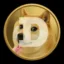 Dugecoin icon
