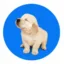 PUPCOIN icon
