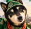 nigga inu icon