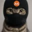 Monero Cat icon