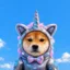 UNI icon