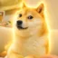 The Original Inu icon