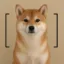 [inu] icon