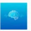 NeuroRisk icon