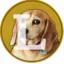 Lupita Coin icon