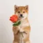 ROSE icon
