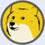 Dogeius Coin icon