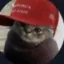 magacat icon