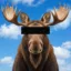 Anonymoose icon