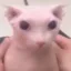 Bingus icon