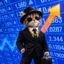 Dividend Reinvestment Plans icon