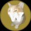WillowCoin icon