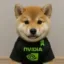 SUPER INU icon