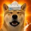 Gooner Inu icon