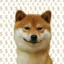 $Dog icon