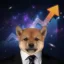 revinu icon