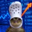 Crypto + Stocks icon