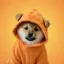 BITDOG icon