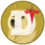 Dogecoin icon