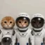 SpaceXers icon