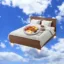 Flying Airbed And Breakfast icon
